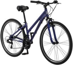 Schwinn