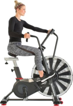 Schwinn