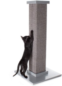 SmartCat