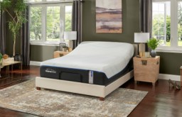Tempur-Pedic