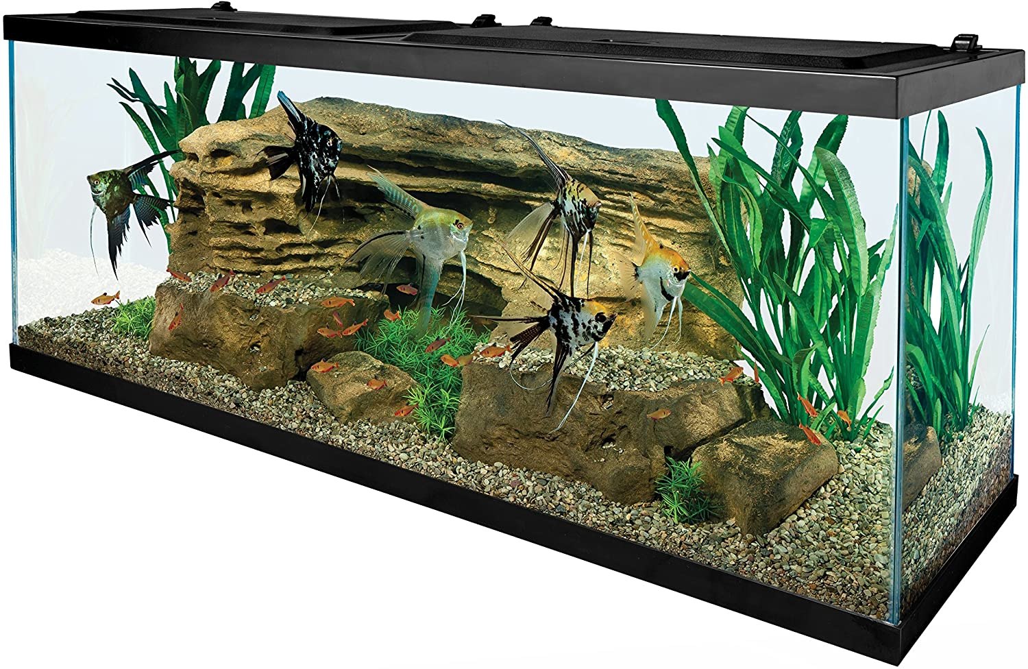 Tetra Aquarium - 55 Gallon Kit